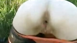 pussy farts cum